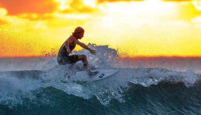 大型活动管理系统